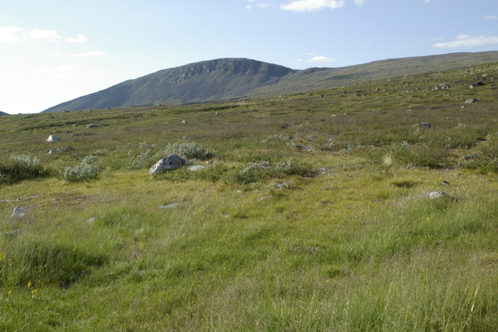 Ailakkapakti
